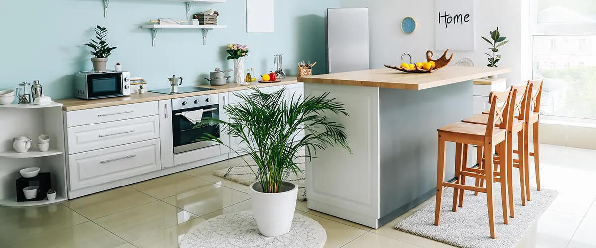 An organic type of kitchen with plants and lively colors